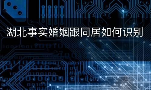 湖北事实婚姻跟同居如何识别
