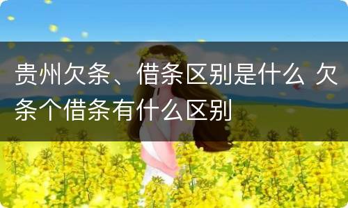 贵州欠条、借条区别是什么 欠条个借条有什么区别