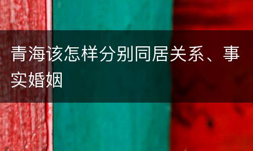 青海该怎样分别同居关系、事实婚姻