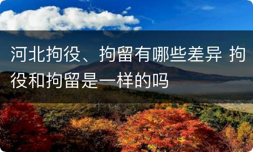 河北拘役、拘留有哪些差异 拘役和拘留是一样的吗