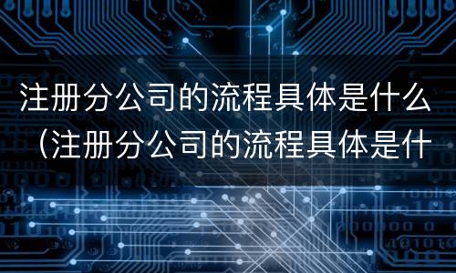 注册分公司的流程具体是什么（注册分公司的流程具体是什么呢）