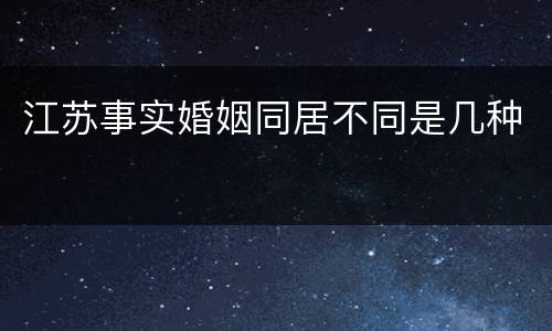 江苏事实婚姻同居不同是几种