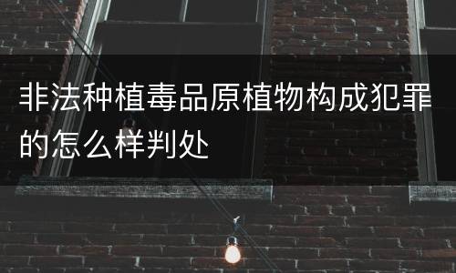 非法种植毒品原植物构成犯罪的怎么样判处