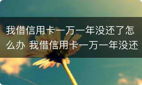 我借信用卡一万一年没还了怎么办 我借信用卡一万一年没还了怎么办呢