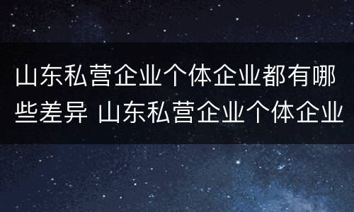 山东私营企业个体企业都有哪些差异 山东私营企业个体企业都有哪些差异项目