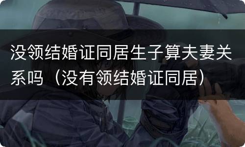 没领结婚证同居生子算夫妻关系吗（没有领结婚证同居）