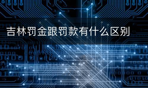 吉林罚金跟罚款有什么区别