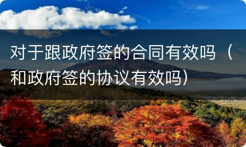 对于跟政府签的合同有效吗（和政府签的协议有效吗）