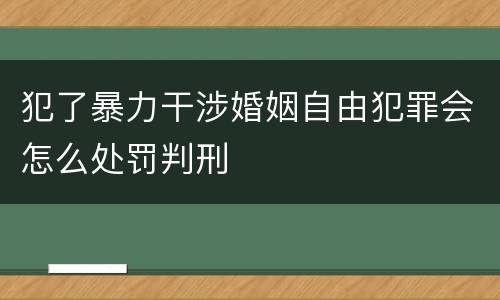 犯了暴力干涉婚姻自由犯罪会怎么处罚判刑