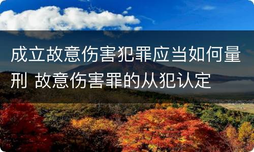 成立故意伤害犯罪应当如何量刑 故意伤害罪的从犯认定