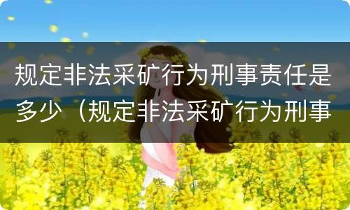 规定非法采矿行为刑事责任是多少（规定非法采矿行为刑事责任是多少年）