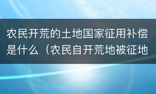 农民开荒的土地国家征用补偿是什么（农民自开荒地被征地占用,给农民补偿吗?）