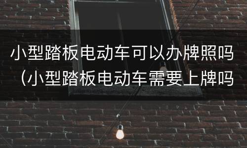 小型踏板电动车可以办牌照吗（小型踏板电动车需要上牌吗）
