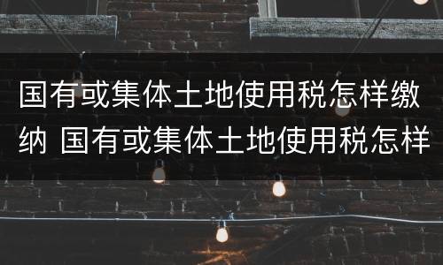 国有或集体土地使用税怎样缴纳 国有或集体土地使用税怎样缴纳的