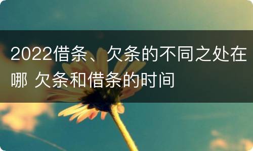 2022借条、欠条的不同之处在哪 欠条和借条的时间