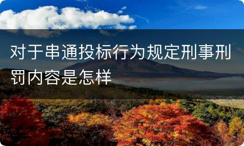 对于串通投标行为规定刑事刑罚内容是怎样