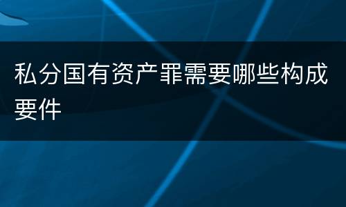 私分国有资产罪需要哪些构成要件