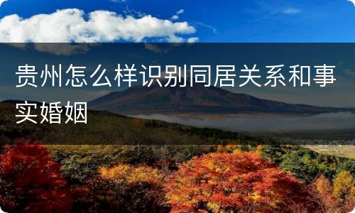 贵州怎么样识别同居关系和事实婚姻