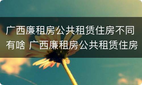 广西廉租房公共租赁住房不同有啥 广西廉租房公共租赁住房不同有啥影响