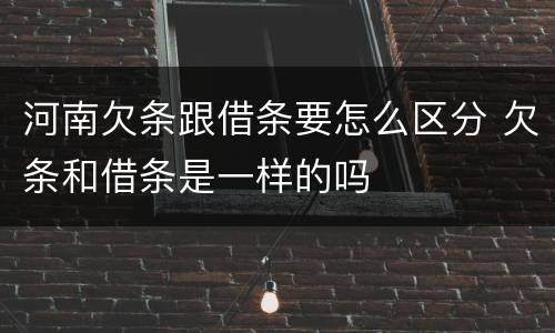 河南欠条跟借条要怎么区分 欠条和借条是一样的吗