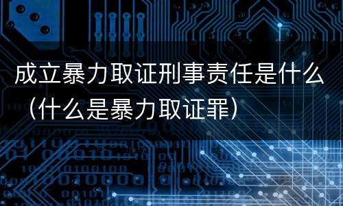 成立暴力取证刑事责任是什么（什么是暴力取证罪）