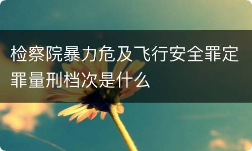 检察院暴力危及飞行安全罪定罪量刑档次是什么