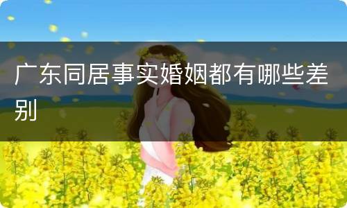 广东同居事实婚姻都有哪些差别