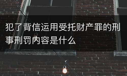 犯了背信运用受托财产罪的刑事刑罚内容是什么