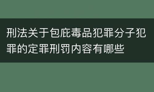 刑法关于包庇毒品犯罪分子犯罪的定罪刑罚内容有哪些