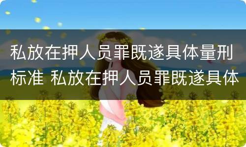 私放在押人员罪既遂具体量刑标准 私放在押人员罪既遂具体量刑标准是多少