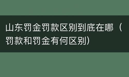山东罚金罚款区别到底在哪（罚款和罚金有何区别）