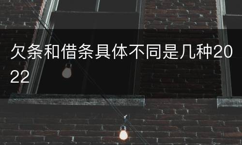 欠条和借条具体不同是几种2022