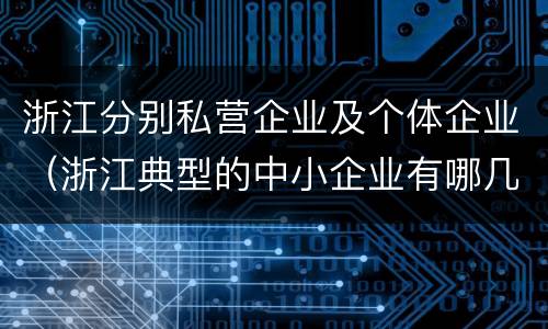 浙江分别私营企业及个体企业（浙江典型的中小企业有哪几家）