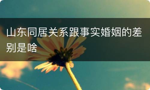 山东同居关系跟事实婚姻的差别是啥