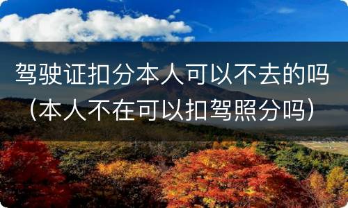 驾驶证扣分本人可以不去的吗（本人不在可以扣驾照分吗）