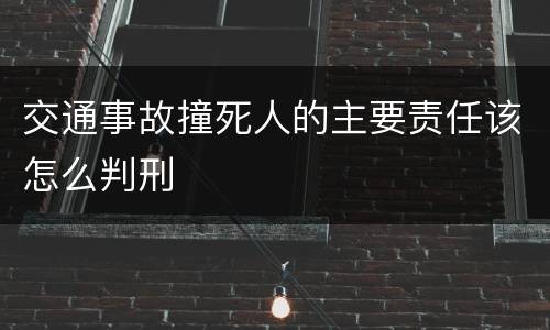 交通事故撞死人的主要责任该怎么判刑