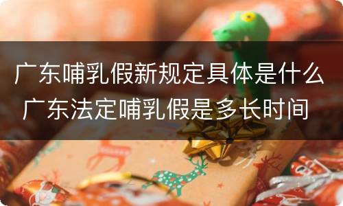 广东哺乳假新规定具体是什么 广东法定哺乳假是多长时间