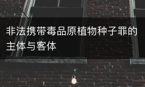 非法携带毒品原植物种子罪的主体与客体