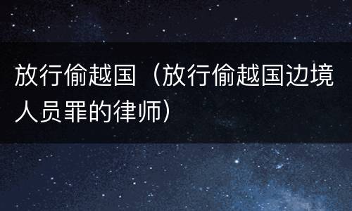 放行偷越国（放行偷越国边境人员罪的律师）