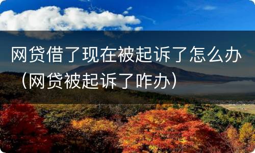 网贷借了现在被起诉了怎么办（网贷被起诉了咋办）