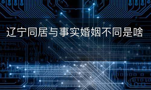 辽宁同居与事实婚姻不同是啥