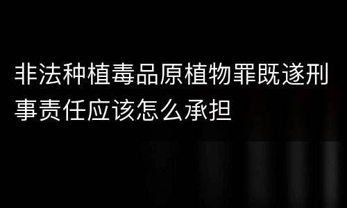 非法种植毒品原植物罪既遂刑事责任应该怎么承担