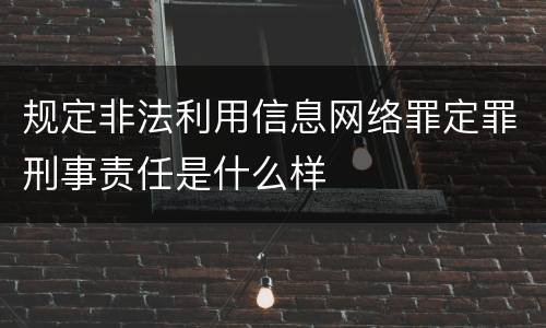 规定非法利用信息网络罪定罪刑事责任是什么样