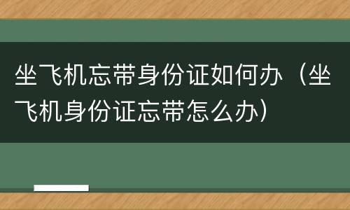 坐飞机忘带身份证如何办（坐飞机身份证忘带怎么办）