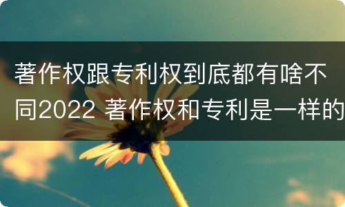 著作权跟专利权到底都有啥不同2022 著作权和专利是一样的吗