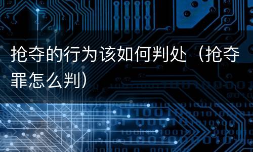 抢夺的行为该如何判处（抢夺罪怎么判）