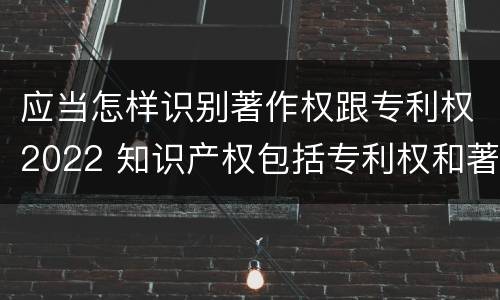 应当怎样识别著作权跟专利权2022 知识产权包括专利权和著作权吗