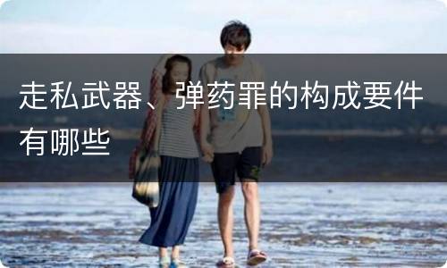 走私武器、弹药罪的构成要件有哪些