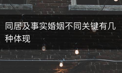 同居及事实婚姻不同关键有几种体现