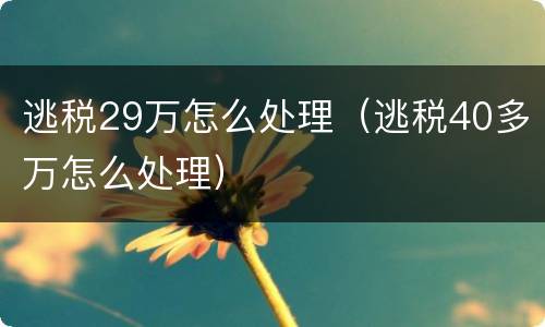 逃税29万怎么处理（逃税40多万怎么处理）